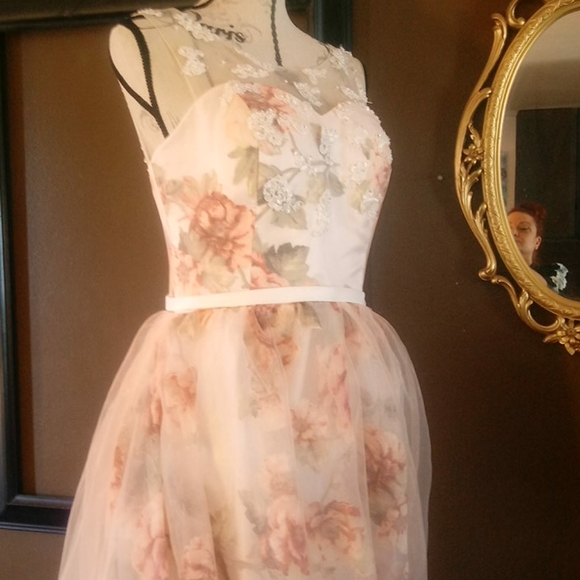 Gorgeous custom made gown - Picture 13 of 14